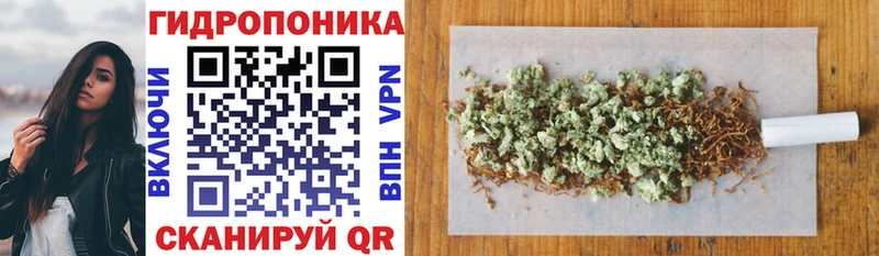 как найти Каменногорск Марихуана конопля